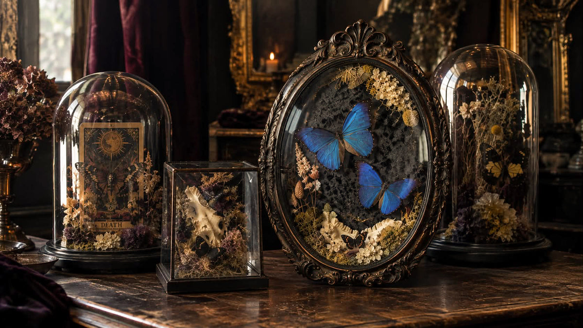 THE CURIOSITY CABINET