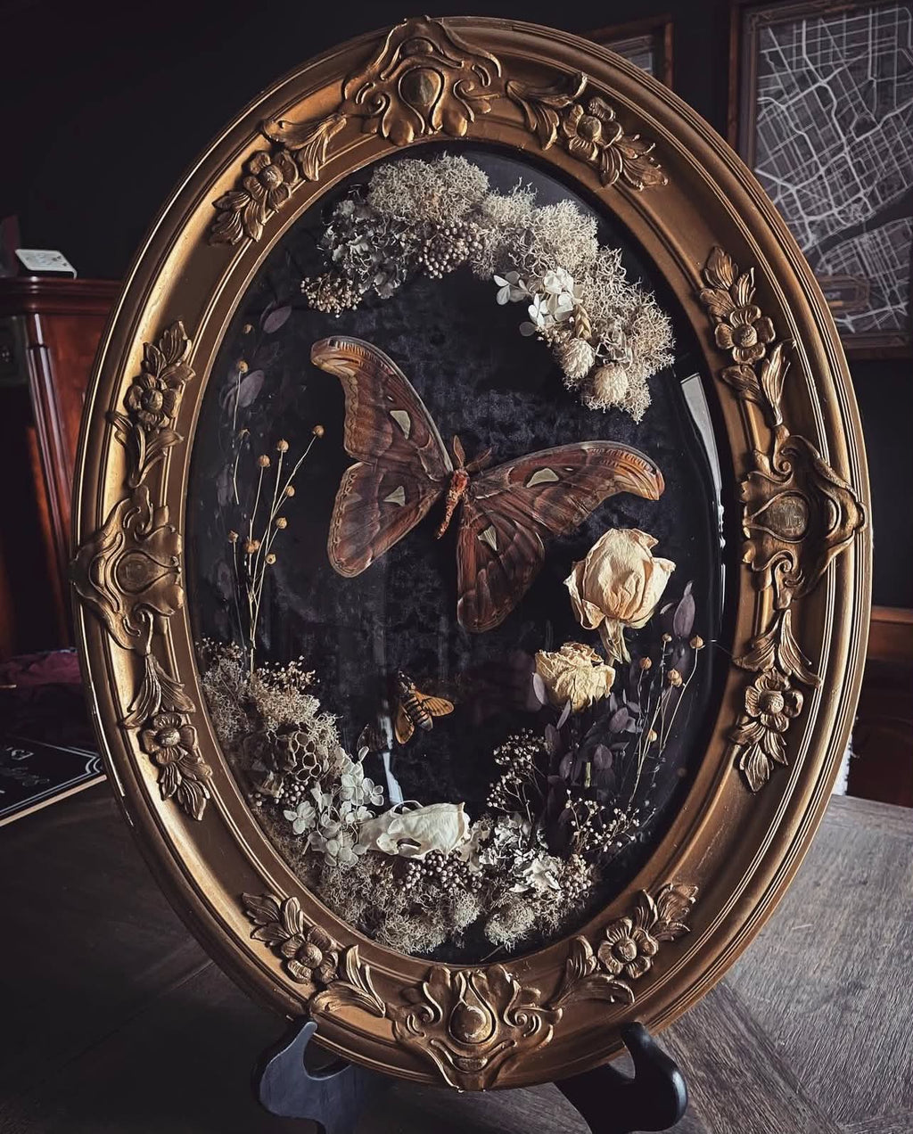 THE GILDED NOCTURNE