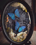 THE AZURE RELIQUARY