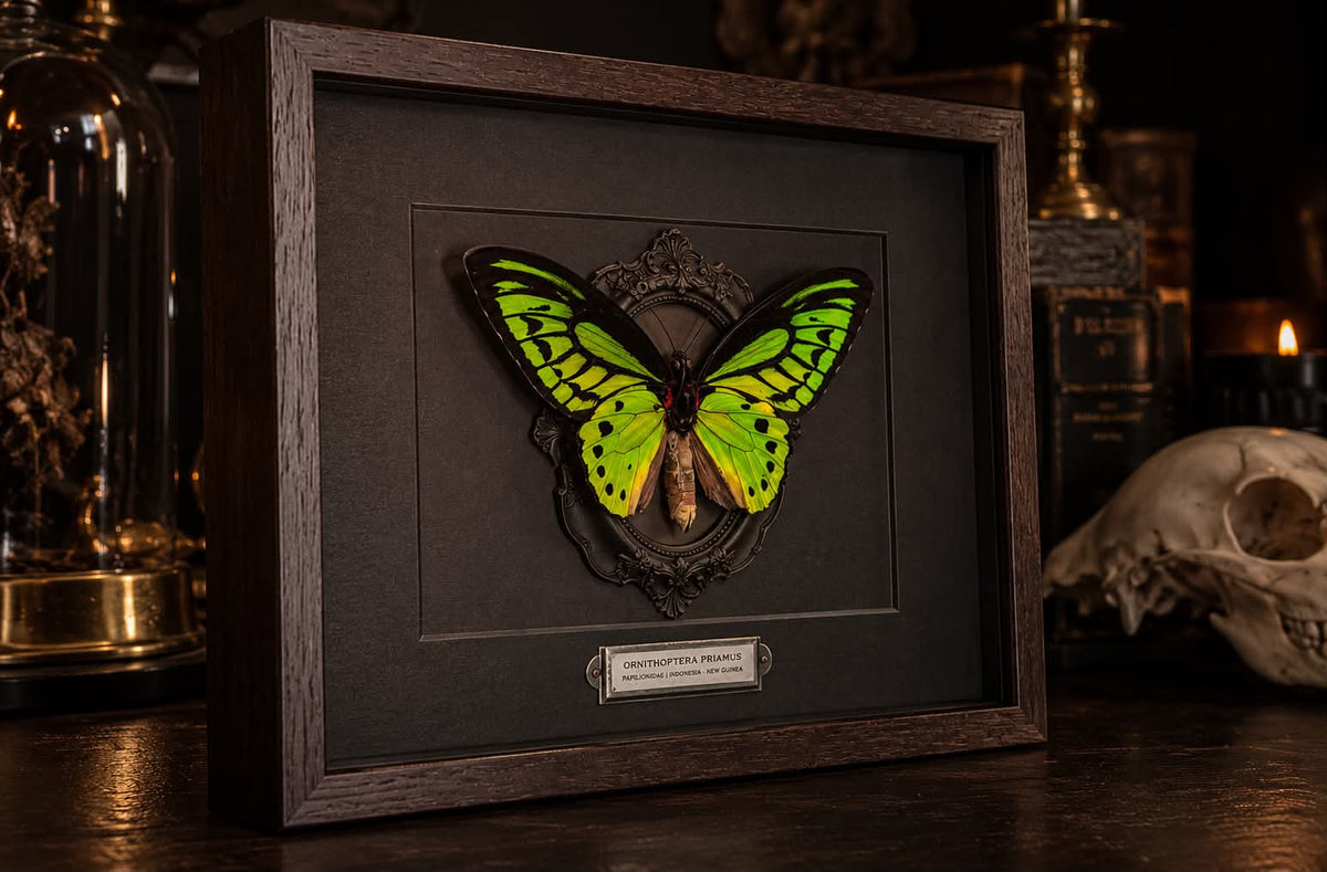 THE EMERALD HEIRLOOM