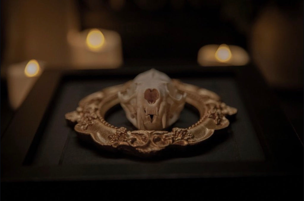 THE GILDED REMAINS
