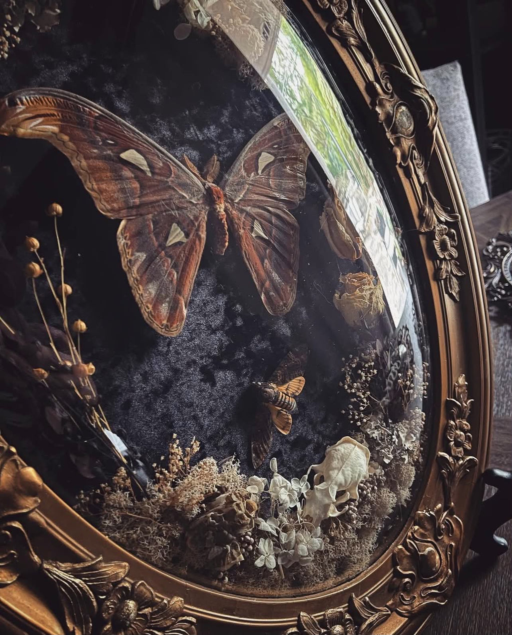 THE GILDED NOCTURNE